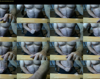 furrybear2