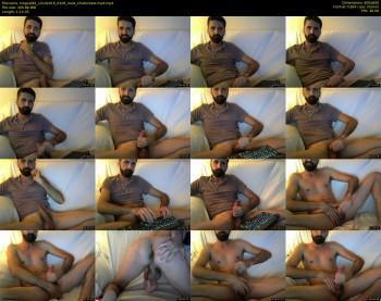 kingcat82