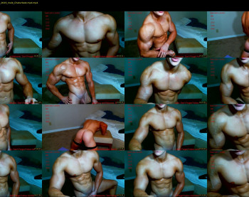 muscletueday