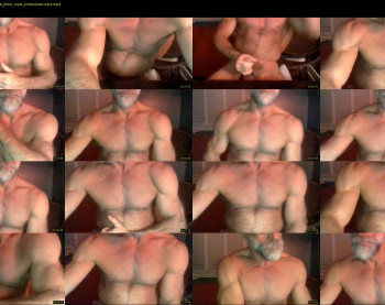 versdadmuscle