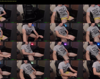 a_beautiful_cock
