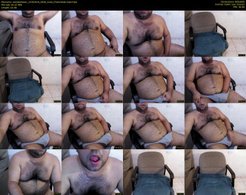 alexlatinbear
