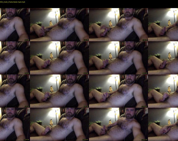 batorcub04
