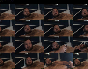 dadbulgelover