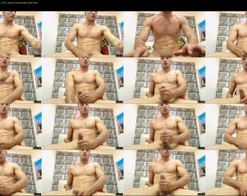 damiann_fox3
