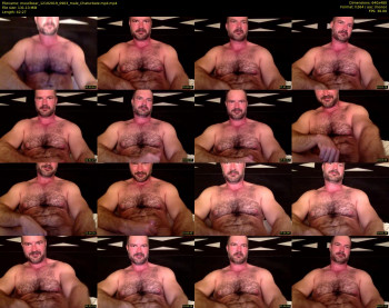 musclbear