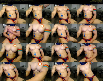 ninjastickerjock