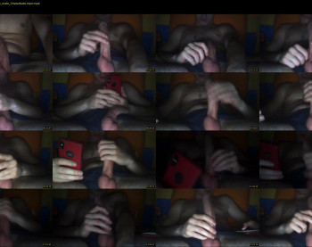 noxy699