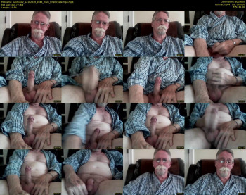 palimino2