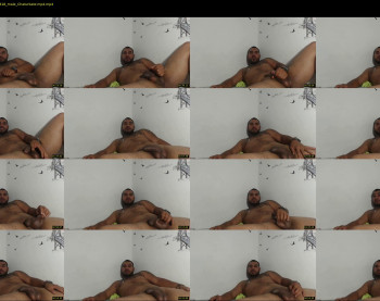 rocky_fly69