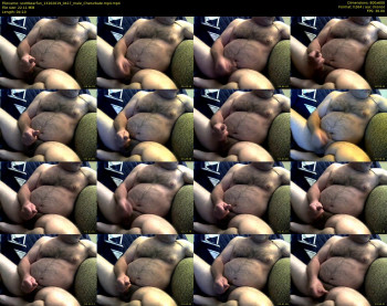 scottbearfun
