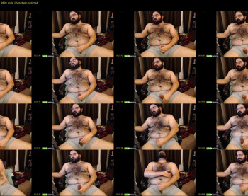 thebadbear07