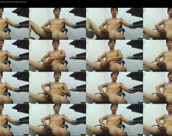 _mateo_hawk_