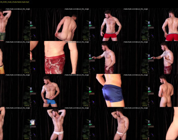 about_the_bulge