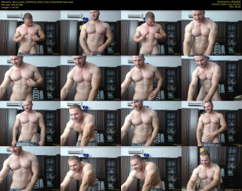 alvin_hunk