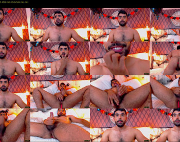 hornybull4ever