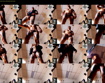 maxstephen