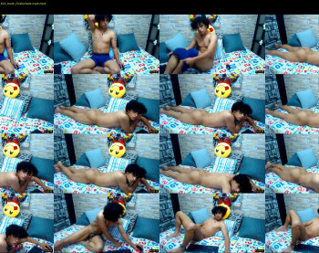 nicols_cams