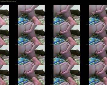 xxxfirebirdxxx