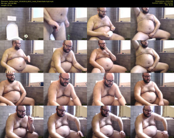 italian_bear