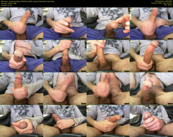 myshroomtip