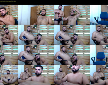 dirty_bears2