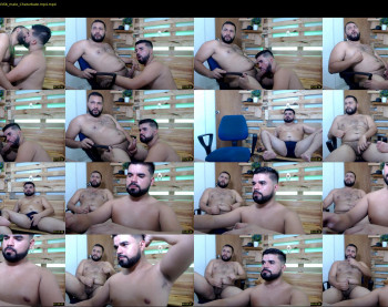 dirty_bears2