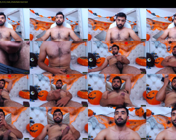 hornybull4ever