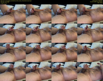 hornyzballz