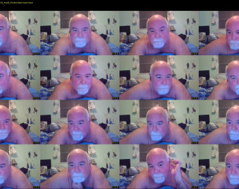 steverbear