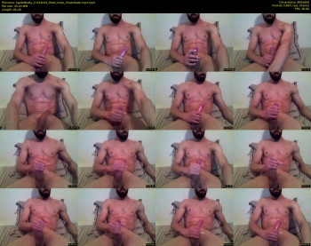 tapdatbotty