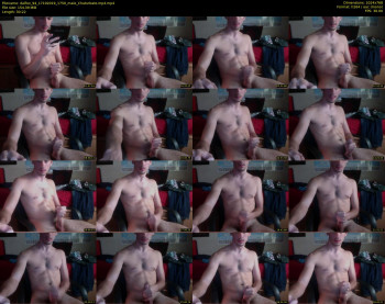 dalfox_94