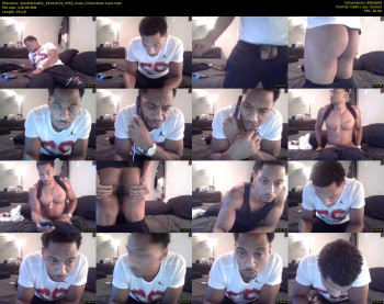 sharkdickwilly