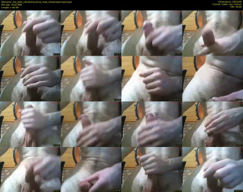 zick_polo