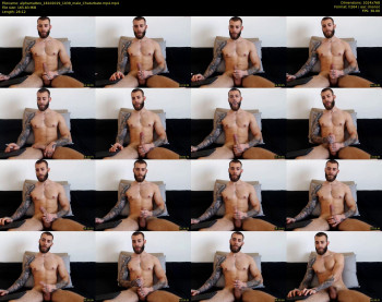 alphamatteo