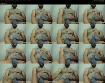 bigbicho7