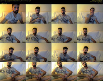 kingcat82
