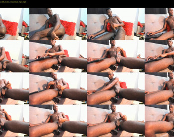pipe_hot_afro