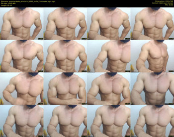 promuscles4u