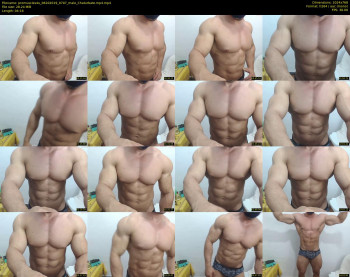 promuscles4u