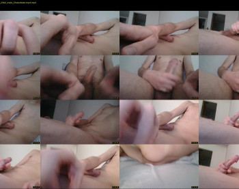 4_5_inch_dick