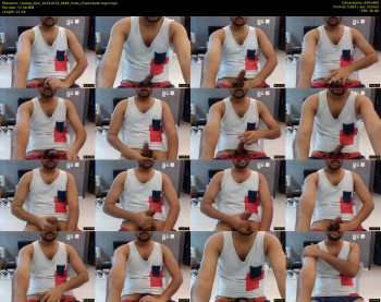 champ_desi