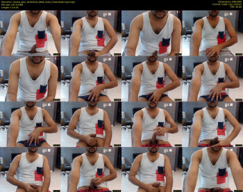 champ_desi