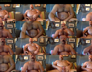 cjbbear