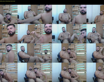 dirty_bears2