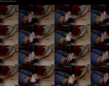 sylvestercatz