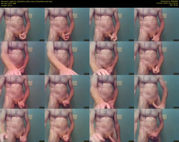 zeplin12