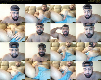 arabian_papi