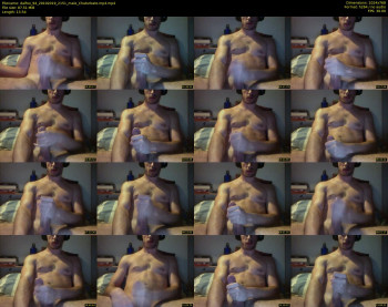 dalfox_94