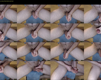 fuzzface1